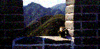 Freddy T. Squealer at the Great Wall of China #1