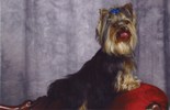 Kapitoshka studio portrait #1