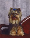 Kapitoshka studio portrait #2