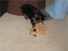 Kapitoshka smiles with his favorite toy (a lion)